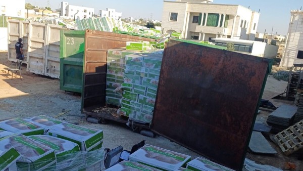 ניצל את המלחמה וגנב 104 טון בוטנים ממפעל בבאר שבע (תיעוד)