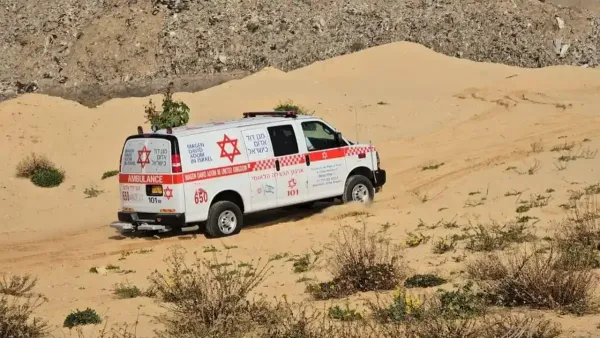 תינוק בן שנה טבע - מצבו אנוש