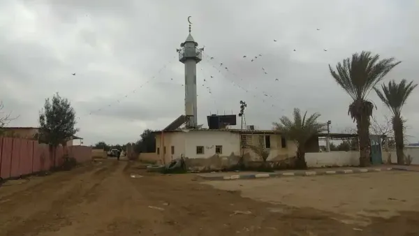 מנהיגים בדואים מהנגב בפוסטי מחאה ושיח ציבורי על תוכנית ריפמן והעתיד של הנגב