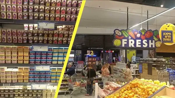 מוצרי חלב ומוצרי בסיס במבצע חנוכה של נטו חיסכון במחיר 1.90 ש״ח ליחידה