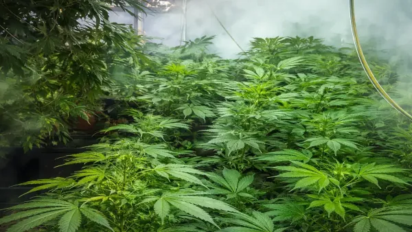 В центре Беэр-Шевы действовала нарколаборатория: изъяты десятки килограммов опасных наркотиков (видео)