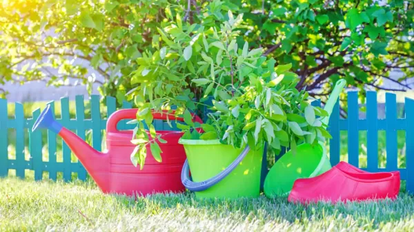 המדריך השלם לבריכה ביתית: משיקולי בטיחות ועד תחזוקה