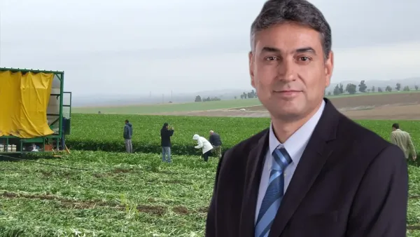 Налоговые льготы расширяются в региональных советах, а в Беэр-Шеве снова спрашивают: почему южный мегаполис остается за бортом