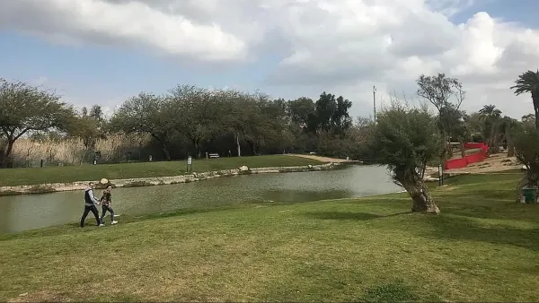 אתר הפסטיבל