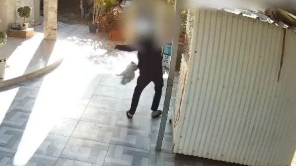 משטרת ישראל הגישה כתב אישום נגד תושב ערערה בנגב בגין הריגת כלבה ואלימות במשפחה