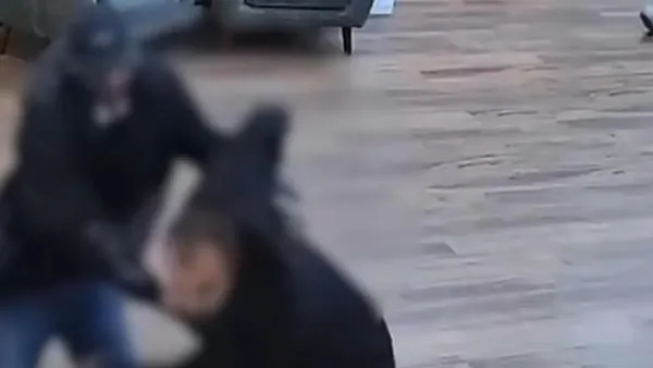 ניידת משטרה מחוץ לבית חולים בבאר שבע לאחר אירוע אלימות בחדר המיון