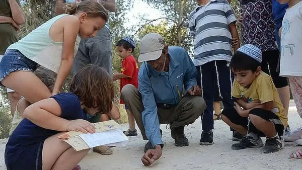 יוצאים מהמסלול המוכר: חוויות קיץ בדואיות ברחבי הנגב