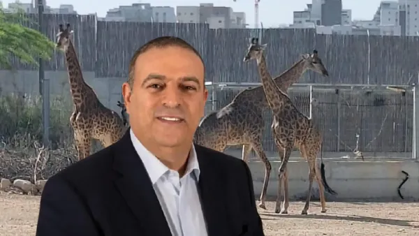 בעלי חיים במדבריום באר שבע בזמן האכלה באחד ממתחמי הפארק