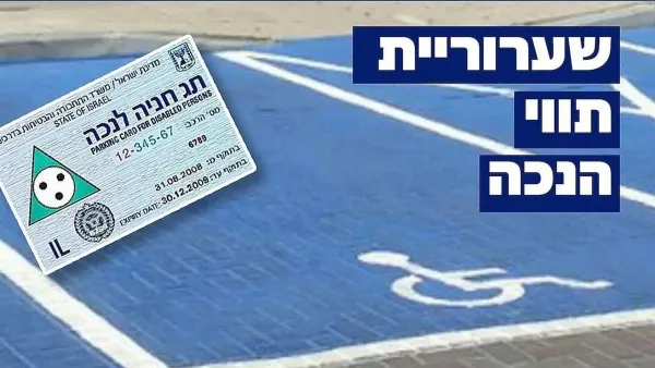 מחזיקים בתג חניה לנכה? מאות אלפי תגים ייבדקו מחדש