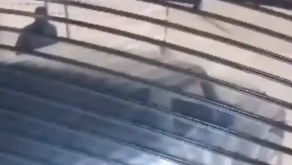 הכנופייה המסוכנת בדרום הכתה באופקים (תיעוד) 