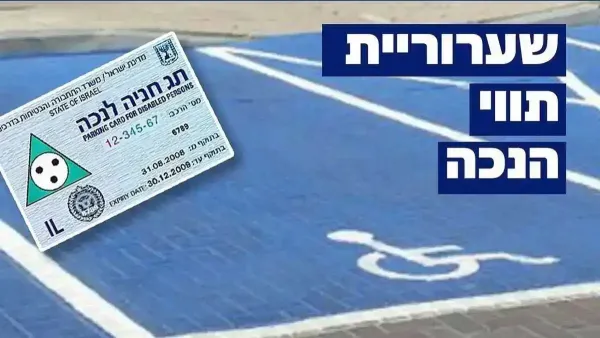תווי הנכה בישראל בדרך לביטול? 'יש יותר מדי, מנצלים לרעה'