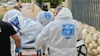 כוחות זק"א ומשטרה בזירת אירוע בדימונה לאחר איתור אישה ללא רוח חיים בדירה.