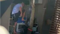 תיעוד מזעזע מבאר שבע: התעללות בכלב שירות, חייו ניצלו בזכות פעילים עירניים (וידאו)
