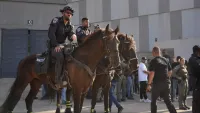 קטטה בתום המשחק בטרנר, שבעה אוהדים עוכבו לחקירה