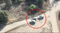 פעילות משטרתית בשתי חוות לגידול קנאביס באזור חוות השיקמים