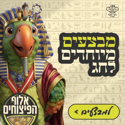 קישור לaluf-hapizuhim.co.il